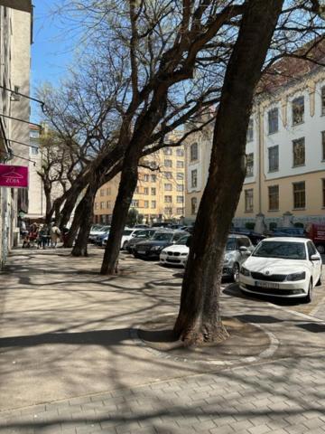 Sunny House One Apartment Bratislava Bagian luar foto